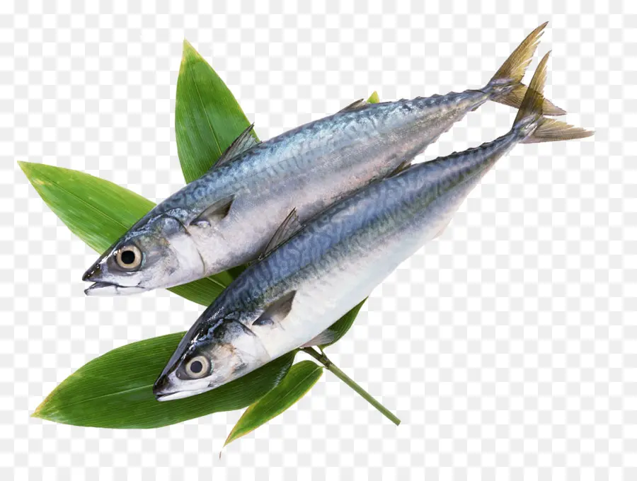 Dois Peixes，Folhas PNG