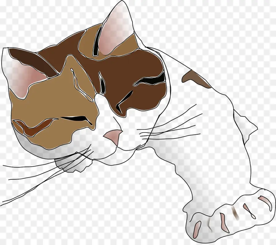 Gato Persa，Siamese Cat PNG
