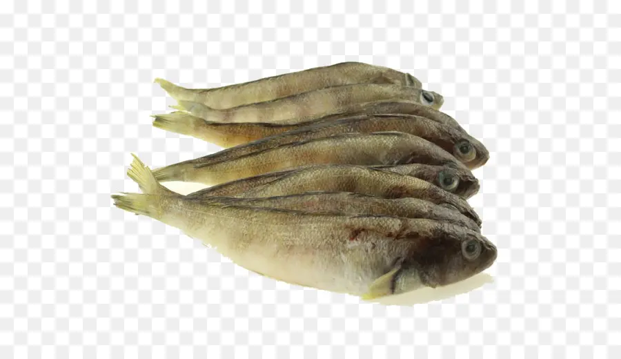 Peixe Seco，Frutos Do Mar PNG