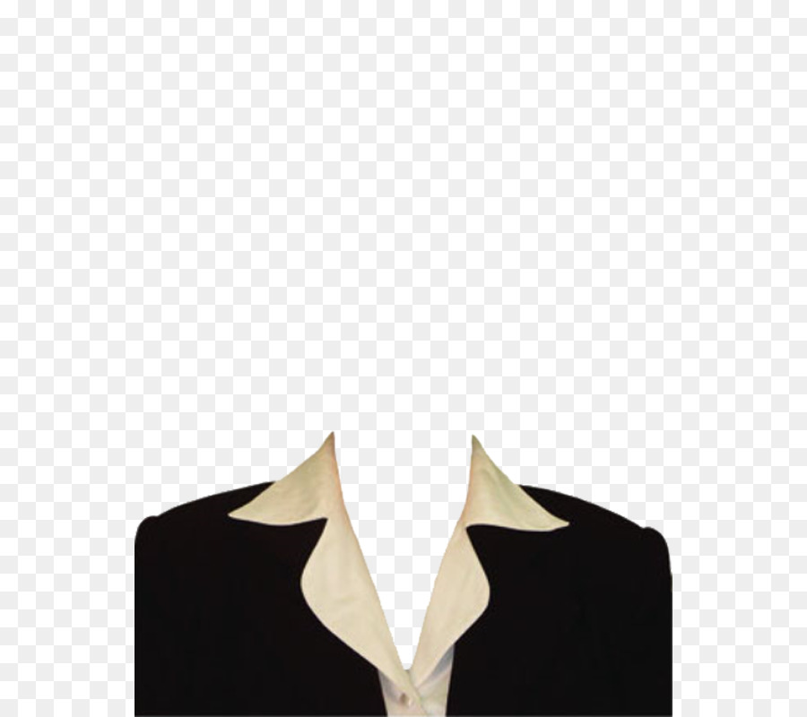 Traje mujer png