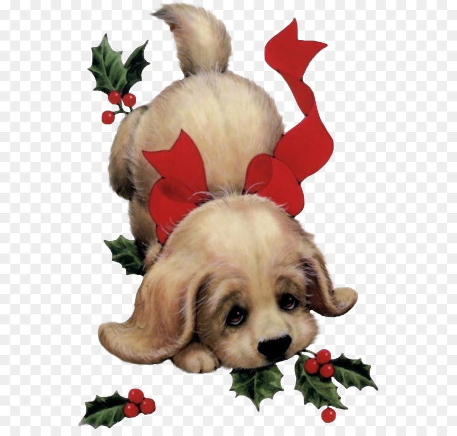 Filhote De Cachorro，Papai Noel PNG