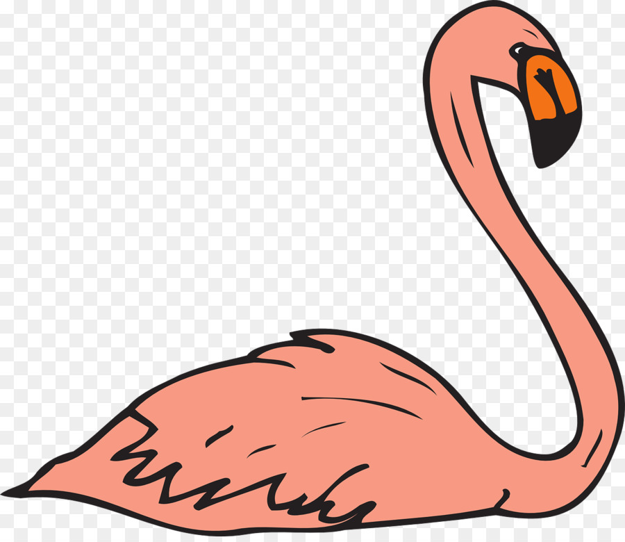 Flamingo，Conteúdo Grátis PNG