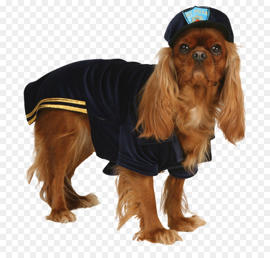 Cachorro Fantasiado，Polícia PNG