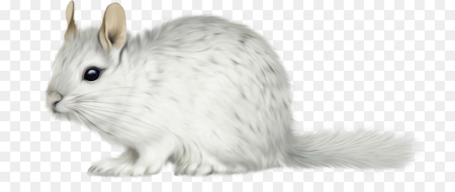 Hamster，Mouse De Computador PNG