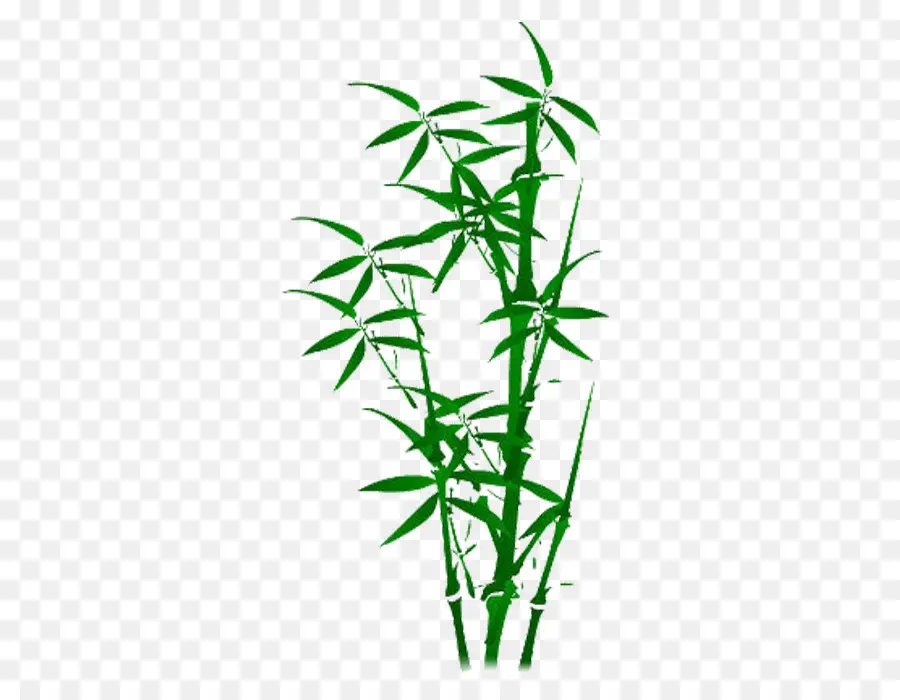 Bambu，Planta PNG