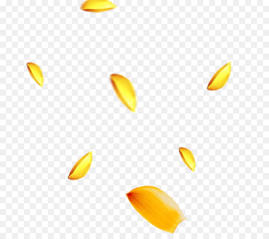 Pétalas Amarelas，Amarelo PNG