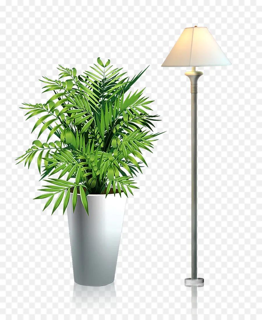 Planta E Lâmpada，Pote PNG