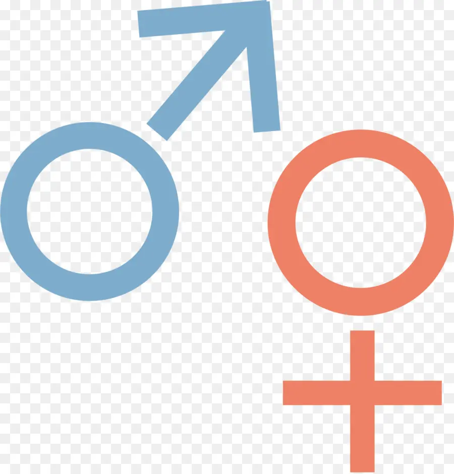 Logo，Feminino PNG