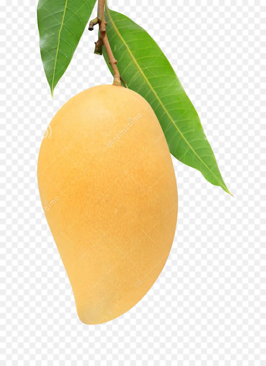 Mango，Folha PNG