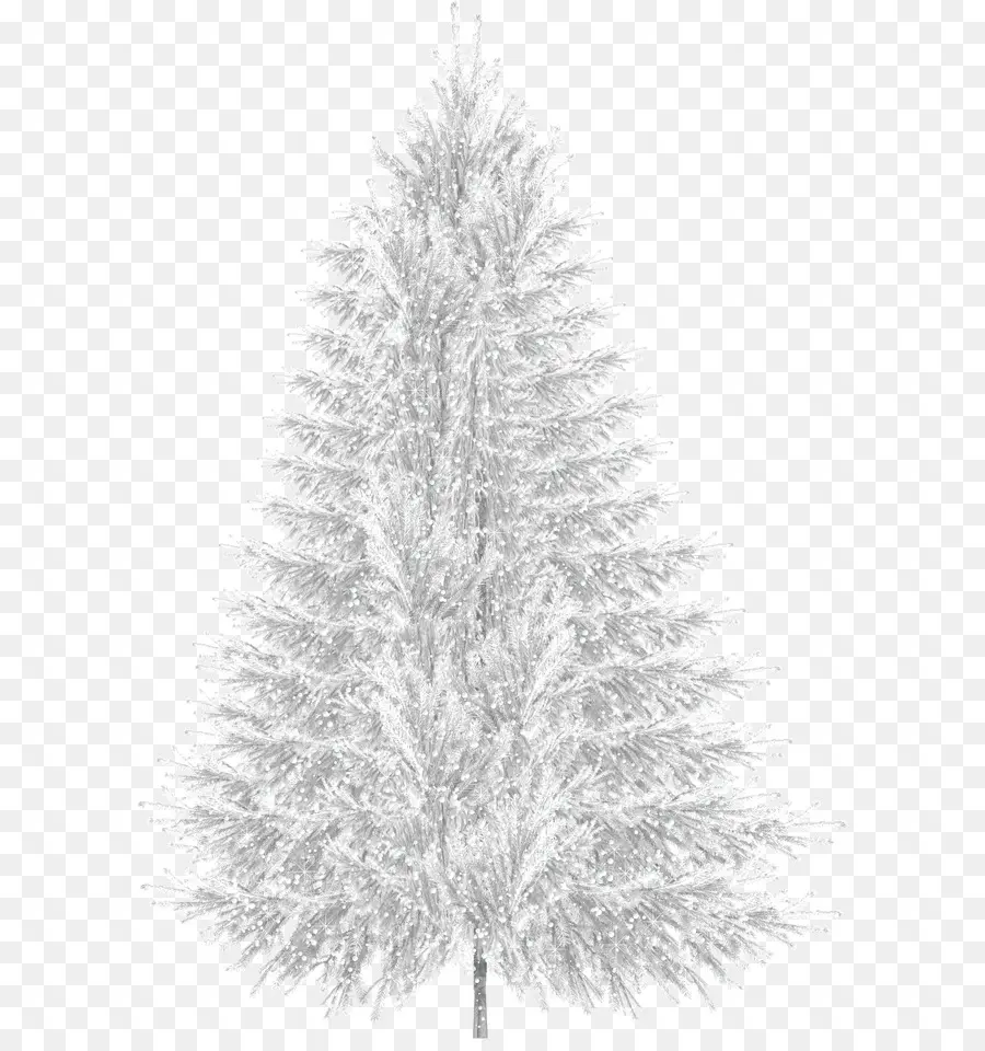 árvore，Natal PNG