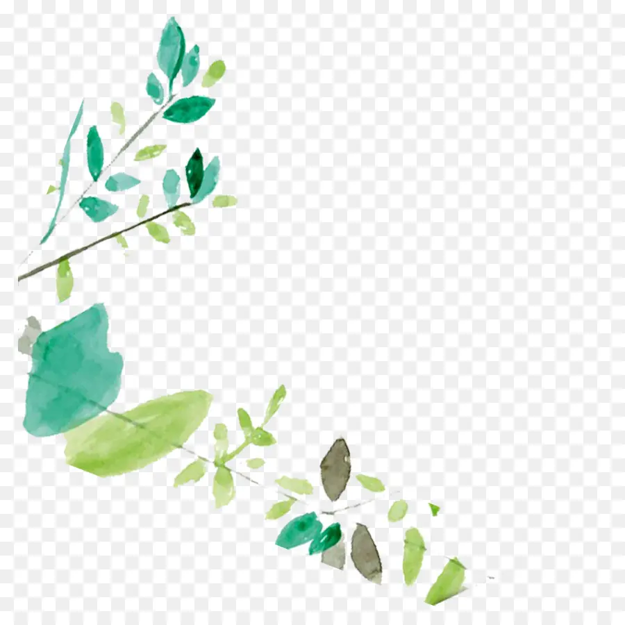 Folhas Aquarela，Natureza PNG