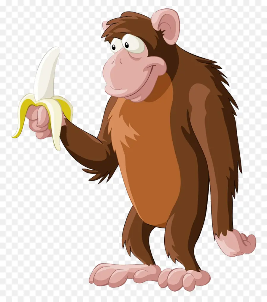 Macaco Com Banana，Banana PNG