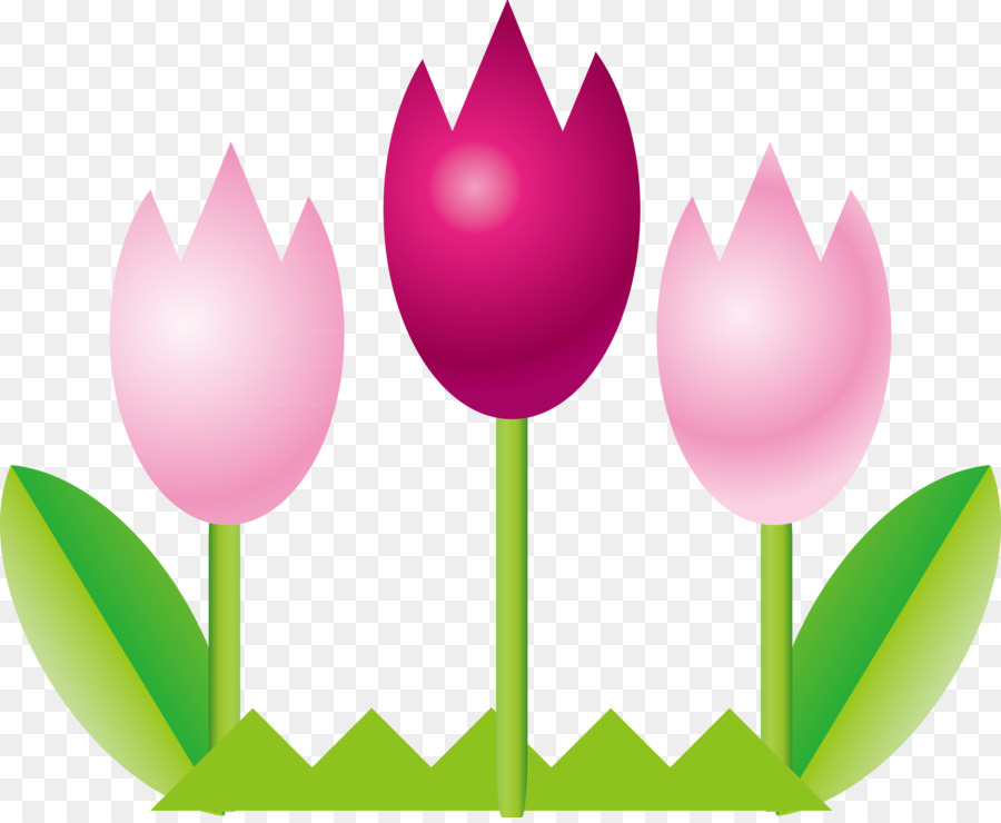 Tulipas Coloridas，Primavera PNG