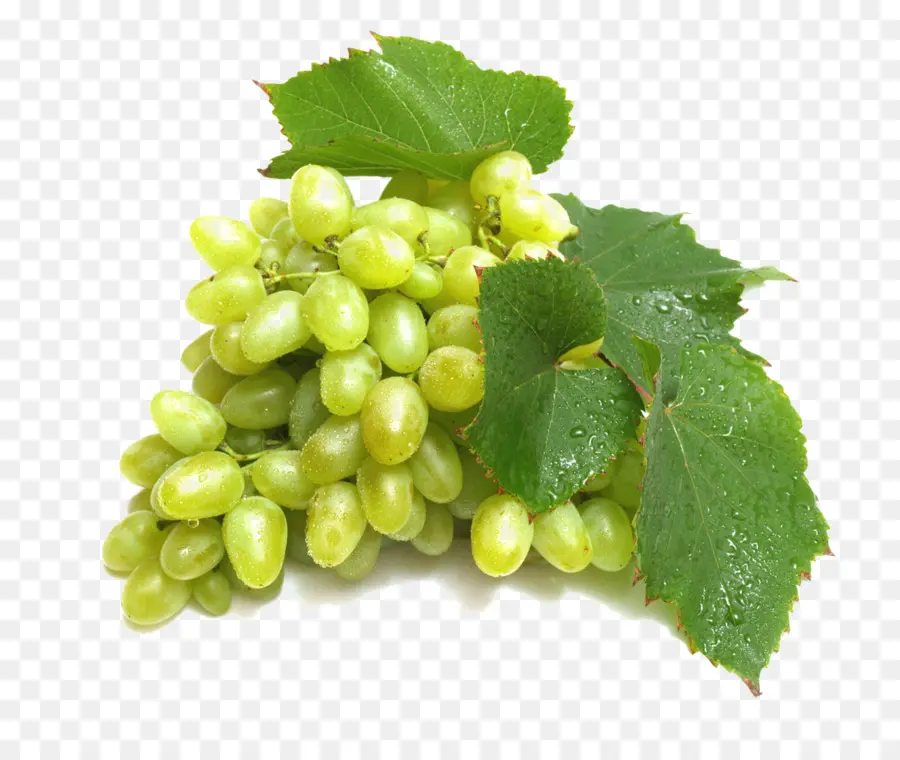 Uvas Verdes，Videira PNG