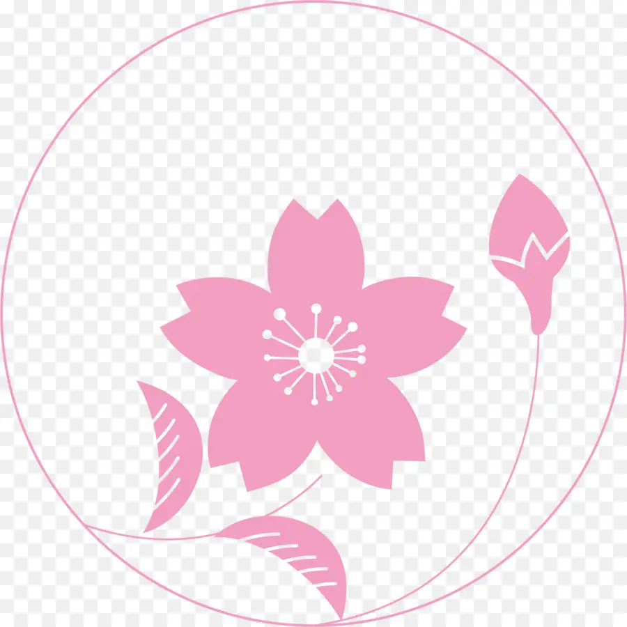 Flor Rosa，Florescer PNG