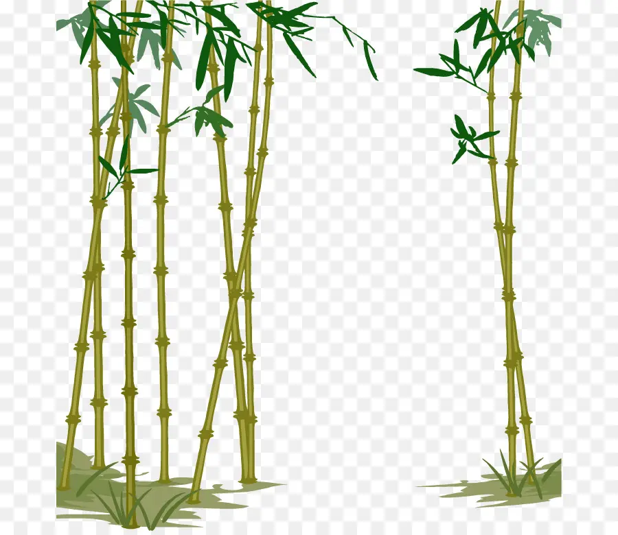 Bamboe，Bambu PNG