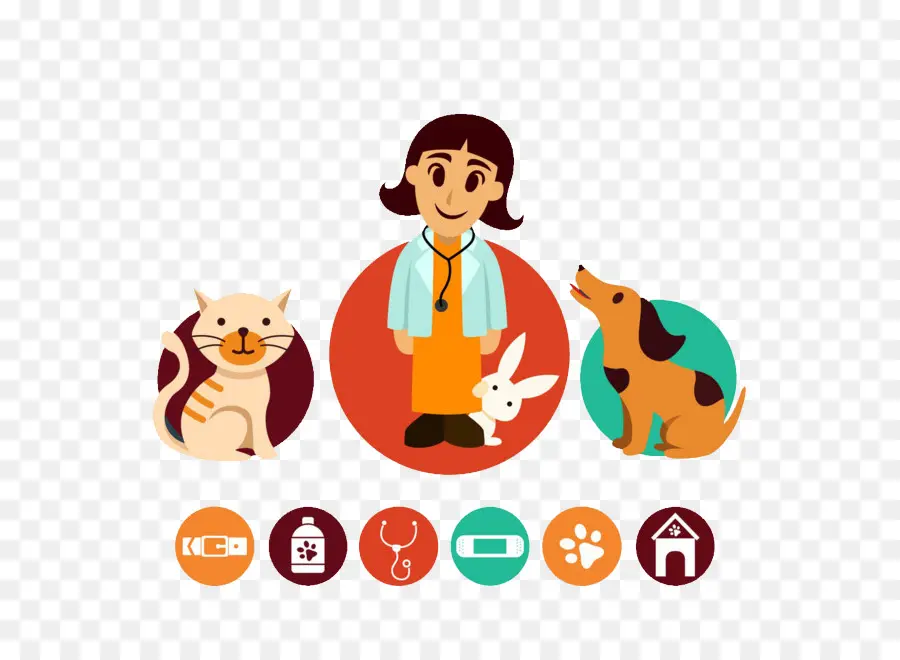 Veterinário，Animais PNG