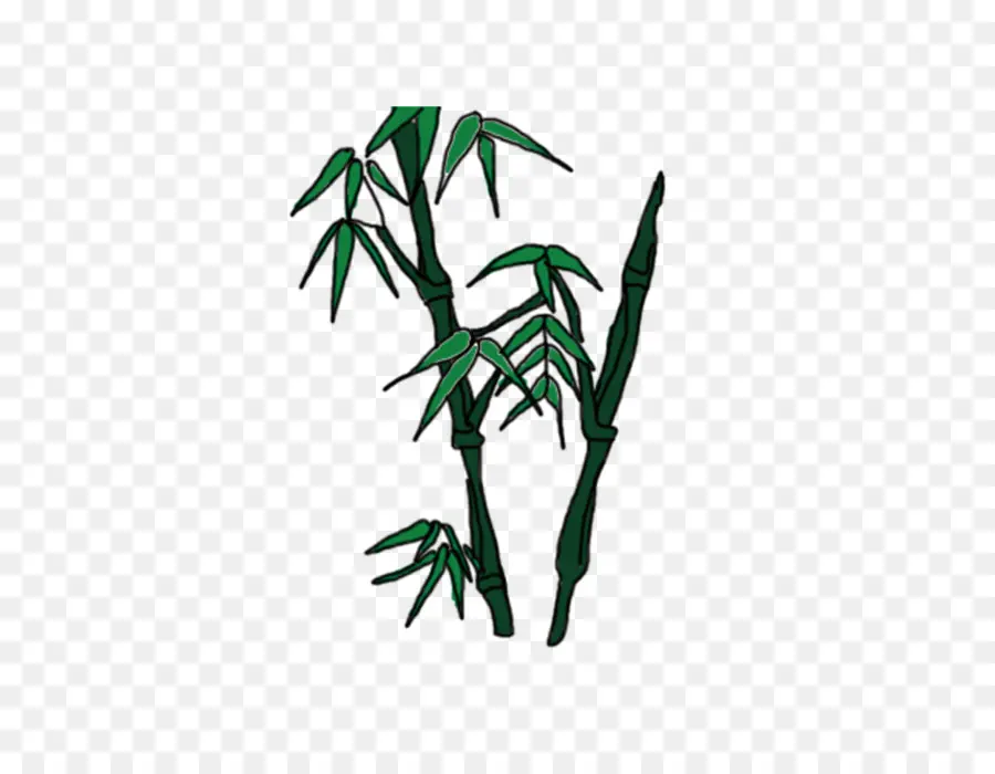 Bambu，Bambusa Oldhamii PNG