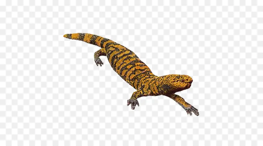 Gila Monster，Lagarto PNG