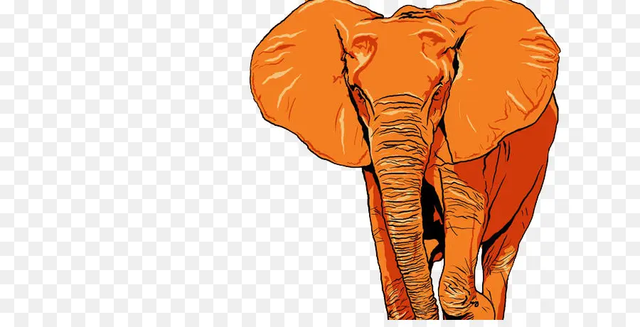 Elefante，Laranja PNG