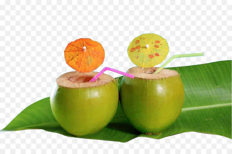 Cocos，Canudos PNG