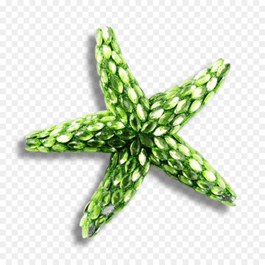 Estrela Do Mar，Download PNG