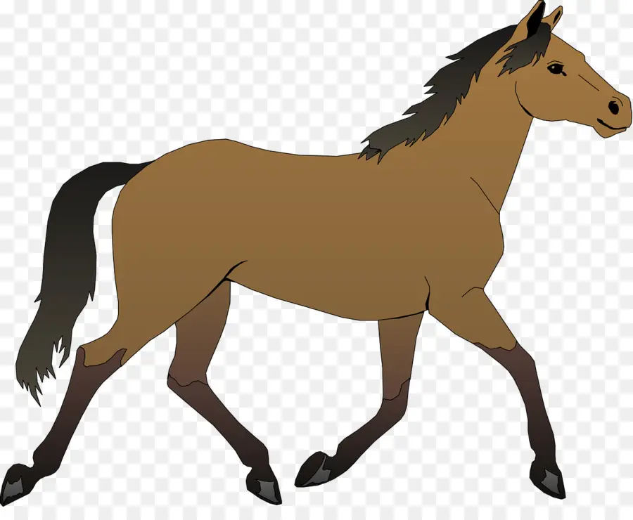 Cavalo，Potro PNG