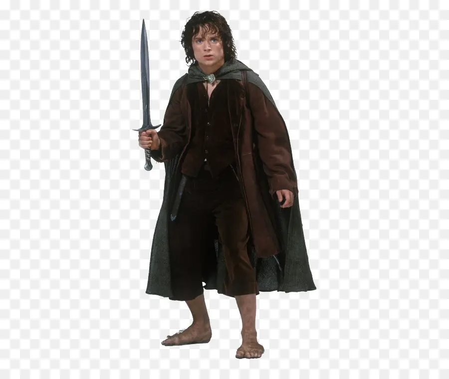 Frodo Baggins，O Senhor Dos Anéis A Sociedade Do Anel PNG