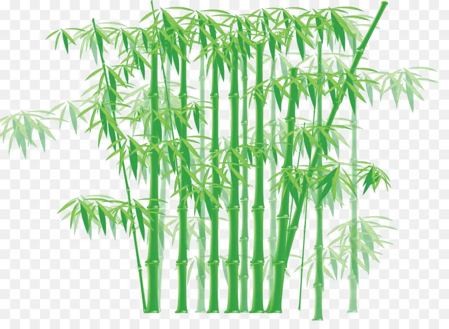 Bambu，Cartoon PNG