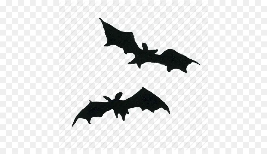 Bat，Dia Das Bruxas PNG