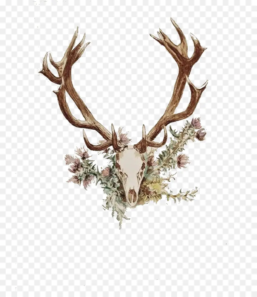 Veado，Antler PNG