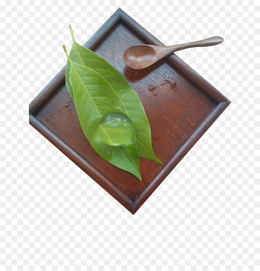 Mochi，Nian Gao PNG