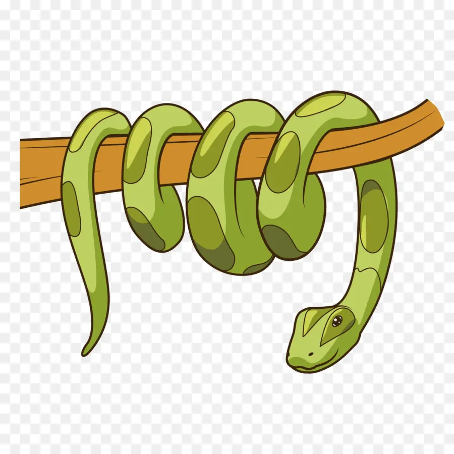 Cobra，Filial PNG