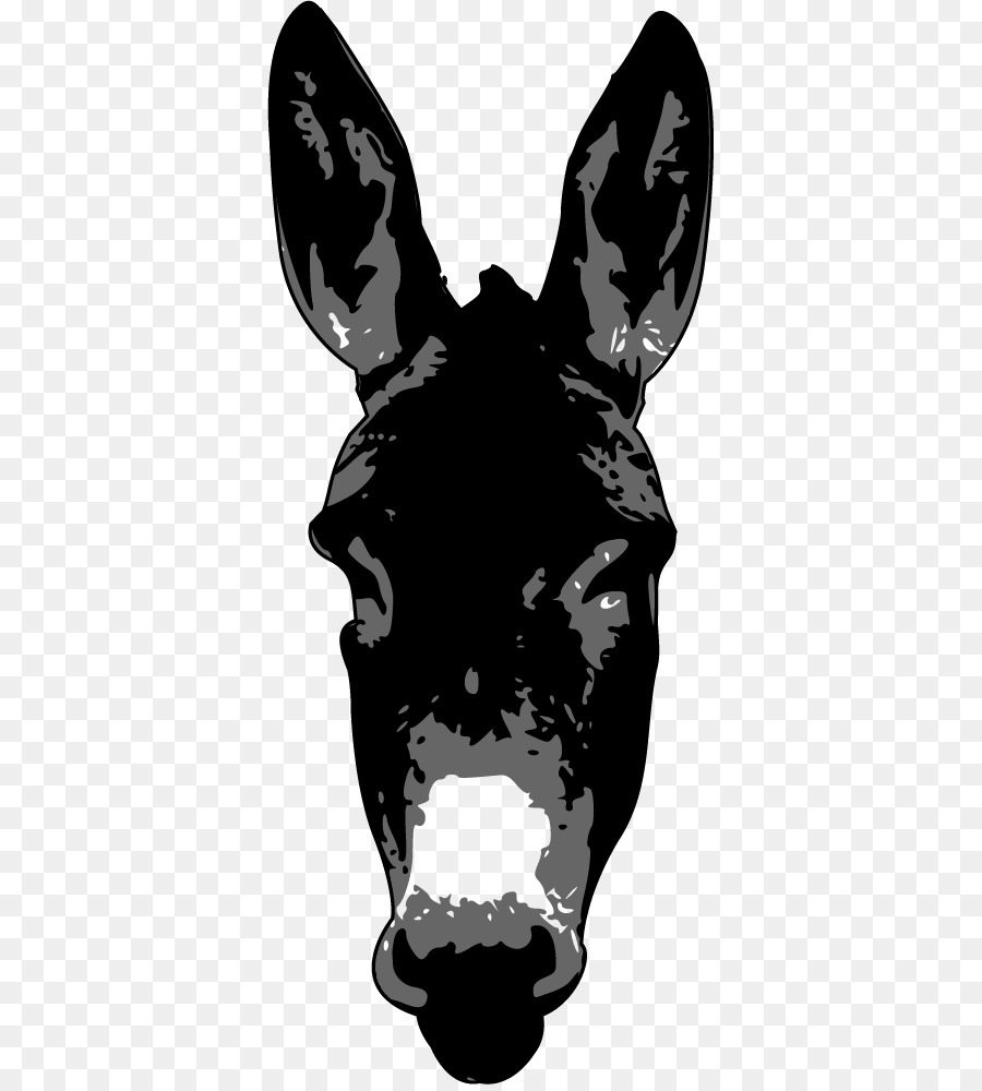 Imagens Burro PNG e Vetor, com Fundo Transparente Para Download Grátis