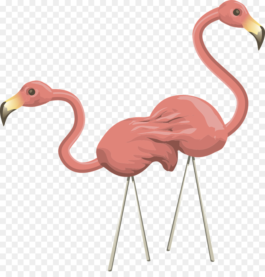 Flamingo，Pássaro PNG