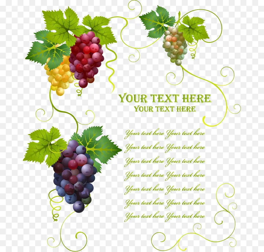 Uvas，Folhas PNG