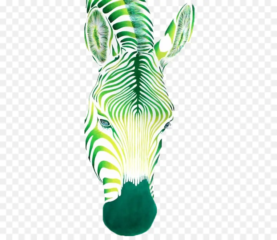 Pintura，Zebra PNG