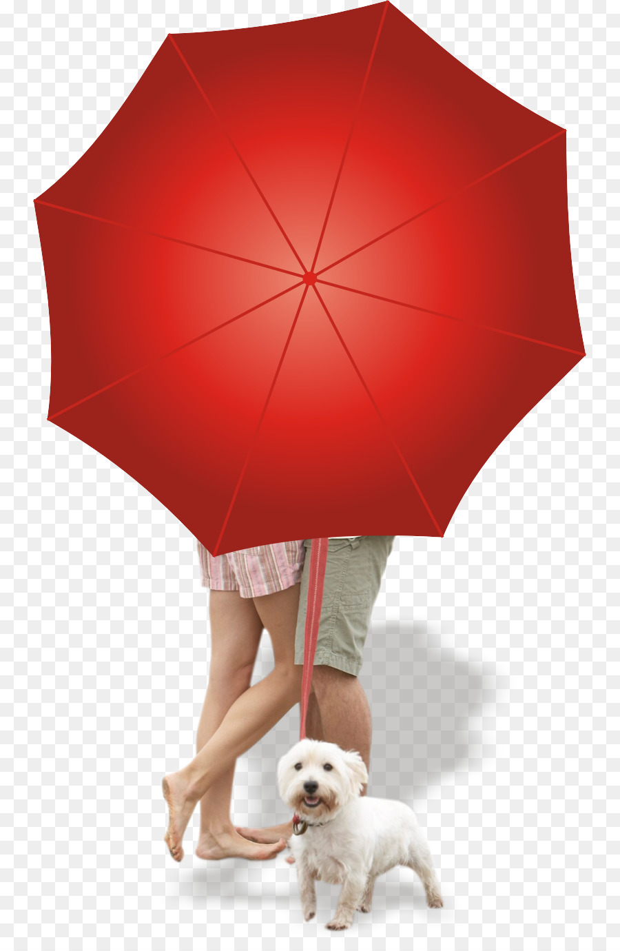 Guarda Chuva，Vermelho PNG