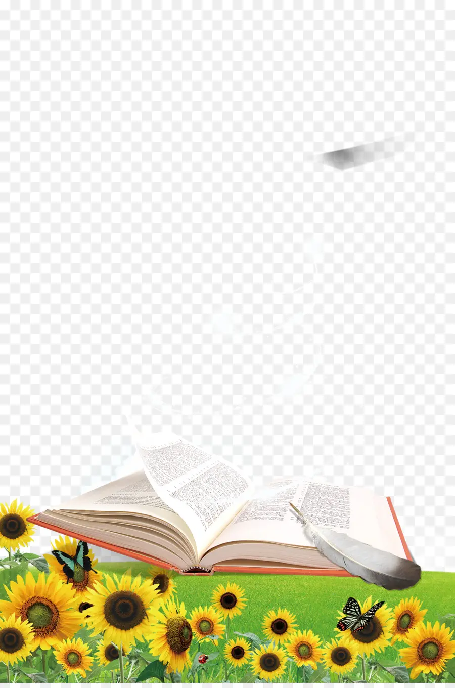 Livro Aberto，Girassóis PNG