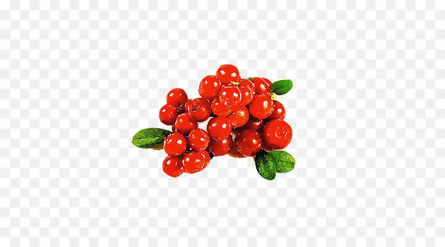 Cranberry，Vermelho PNG