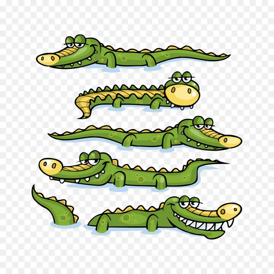 Crocodilo，Jacaré Prenasalis PNG
