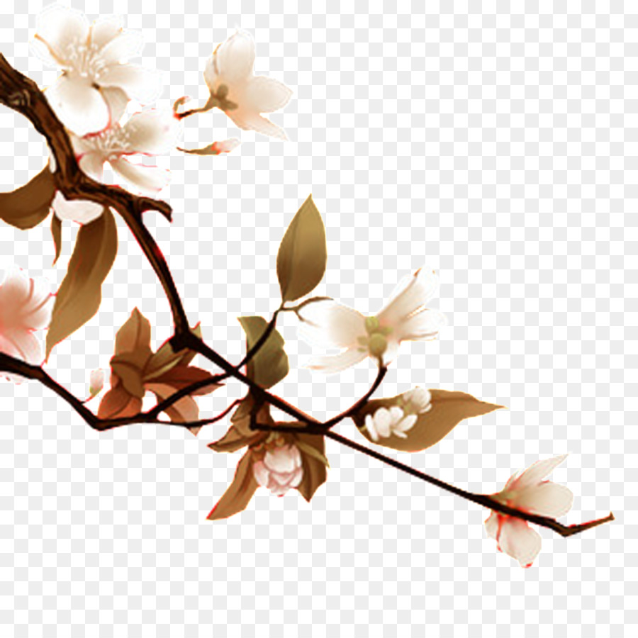 Ramo De Flor，Florescer PNG