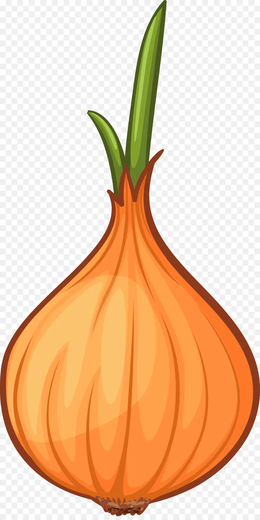 Calabaza，Cebola PNG