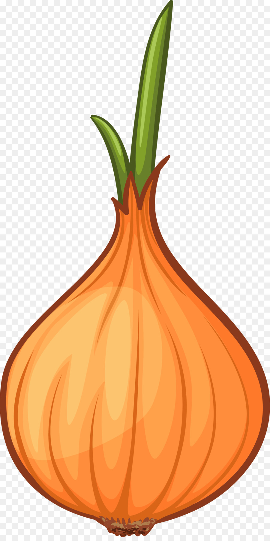 Desenho de vegetais Cartoon frutas, vegetais, alimentos, folha, cebola png