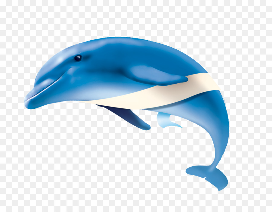 Dolphin，Site PNG