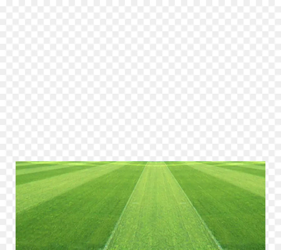 Campo De Futebol，Futebol PNG