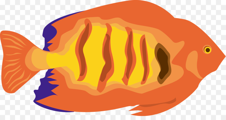 Peixe，Mar PNG