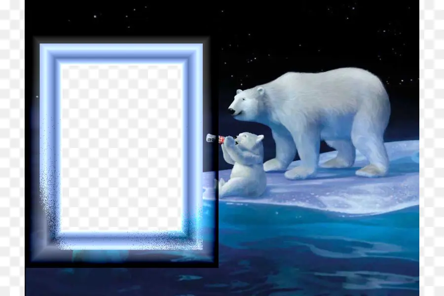 A Coca Cola，Urso Polar PNG