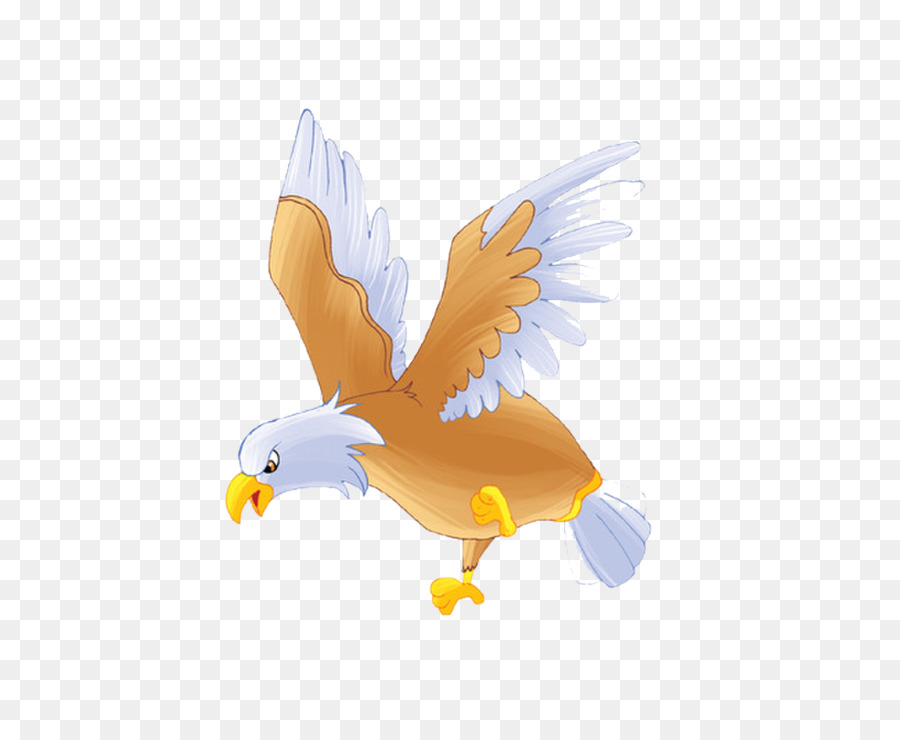 águia Careca，Aves PNG