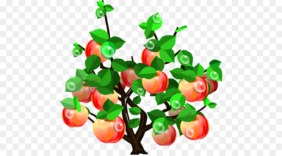 Macieira，Fruta PNG